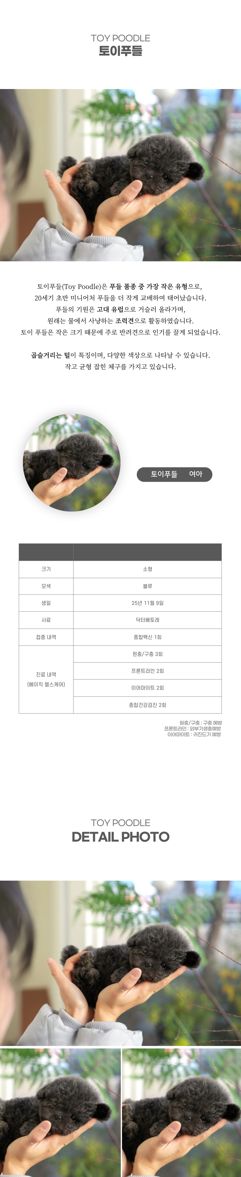 토이푸들_상세이미지_2